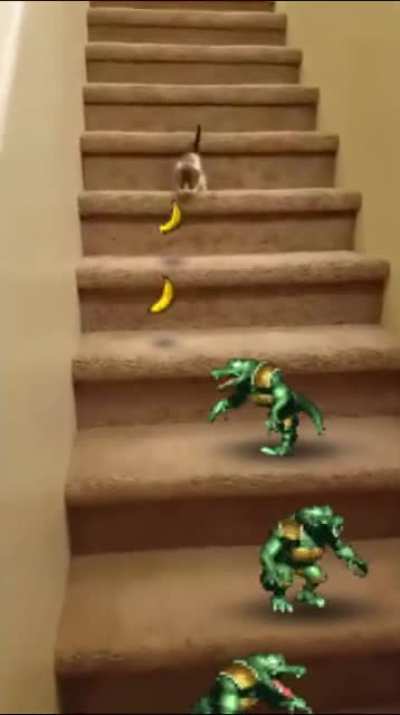 Donkey Kong Kitty