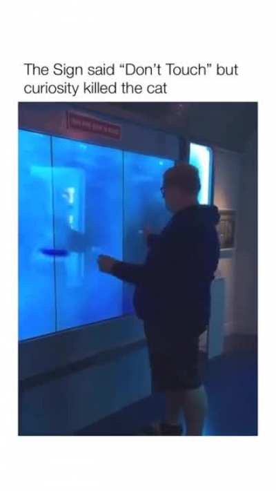 touch at your own risk