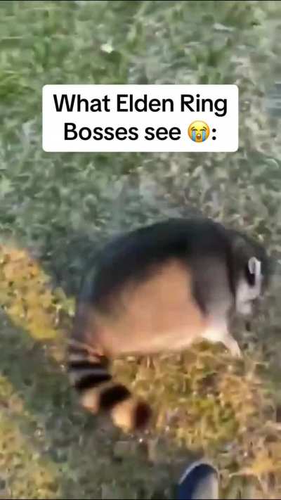 Old but Gold lol