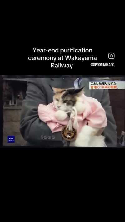 Japan is japaning 