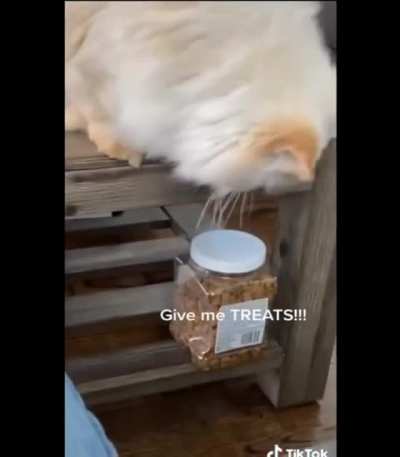 Touch tha human
