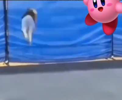 Kirby
