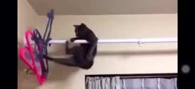 Just hanging out
