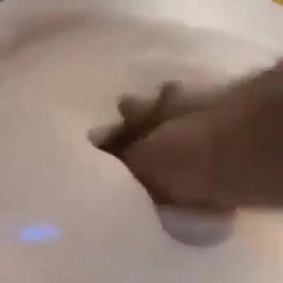 Mayo