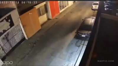 Home invader chased over the edge by dogs.