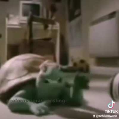 Típico wn