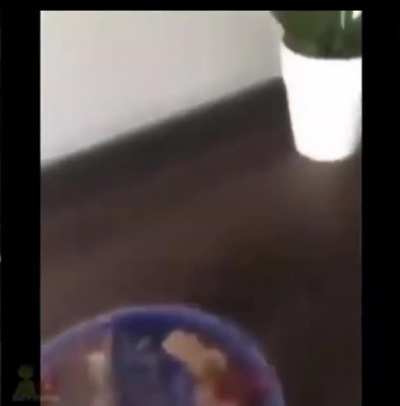 Como??