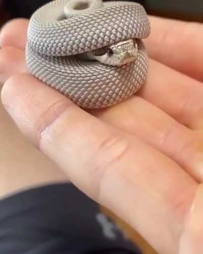 I isssss hat.