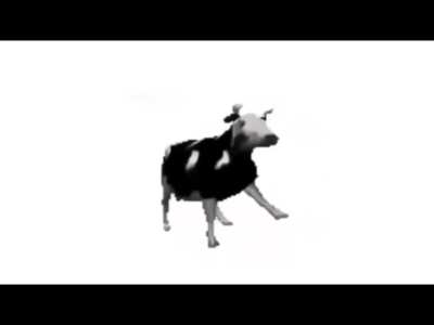 Funny funny