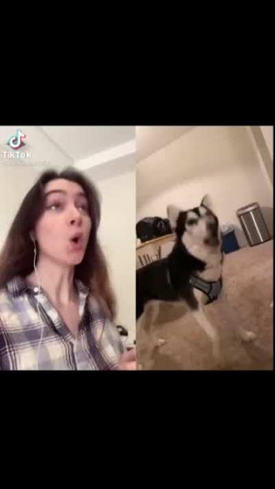 Can we get an ‘awoo’? (Supercut)