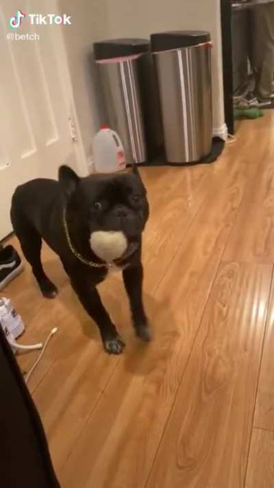=D