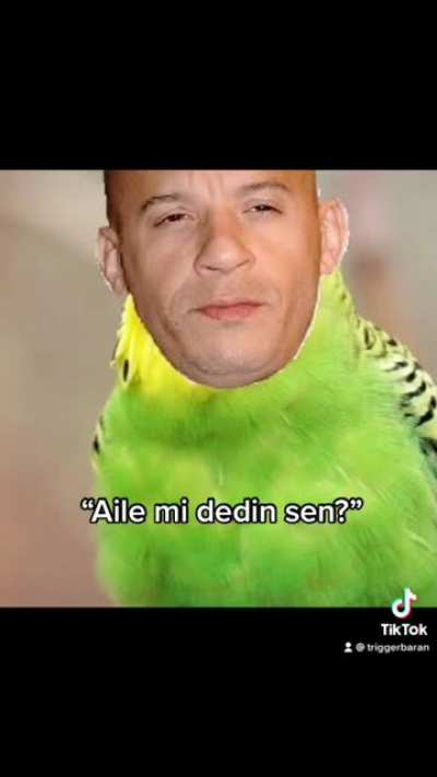 Aile adam