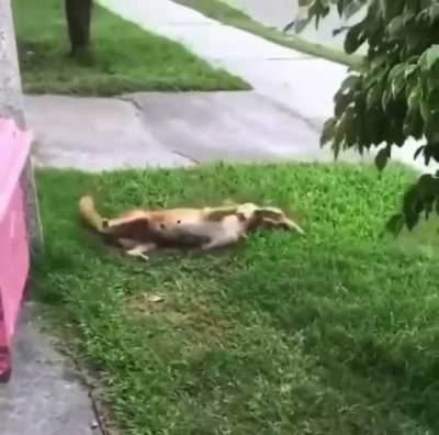 Attack!