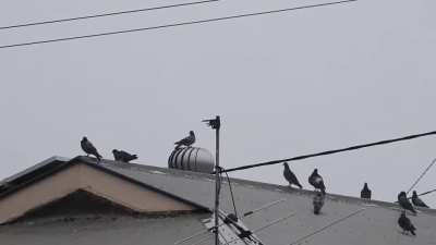 New 360-degree surveillance technology