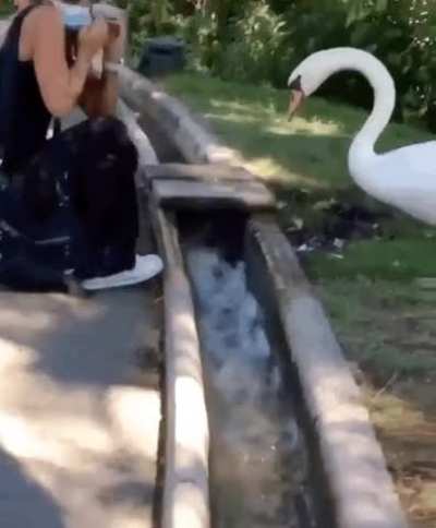 Woman forced to wear her mask