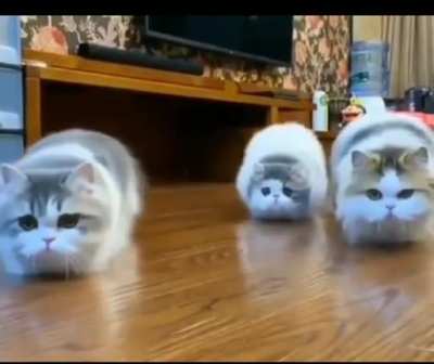 Cutest sneak attack ever