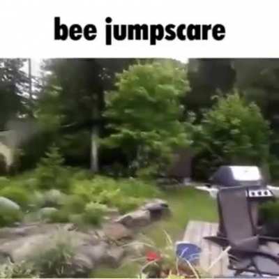 Bee jumpscare