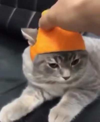 Catange