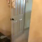 not 100 percent sure if this counts