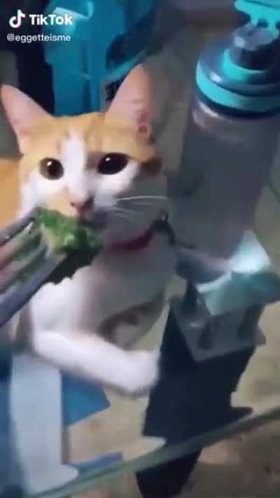 I hate veggies too