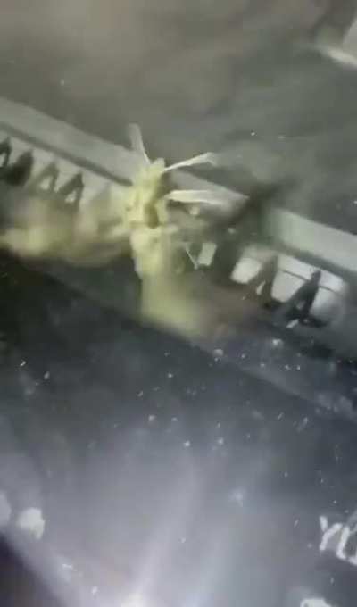 Unit of a moth