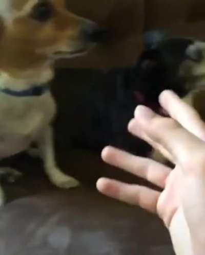 *le borra el ano*