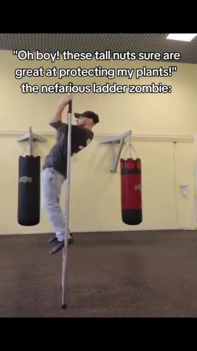 Meme