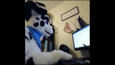 typo_irl