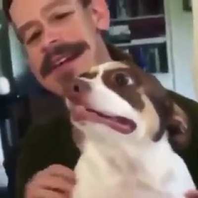 Mister Bubz is being a good boy!