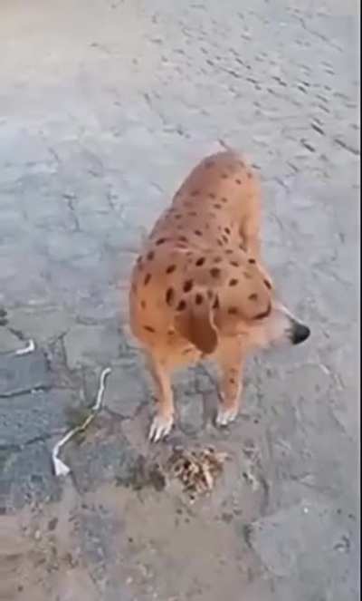 Add a title