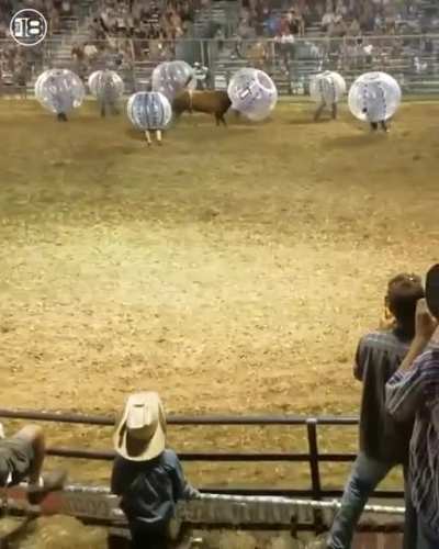 Absolute madness