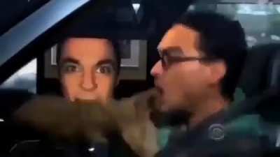 Bazinga XD