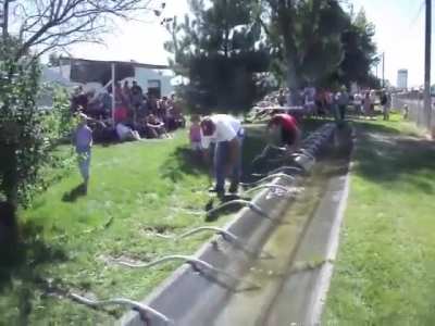 From the world champion siphoning contest at the Grant County Fair. yee haww!