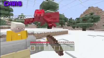 spiders are scary