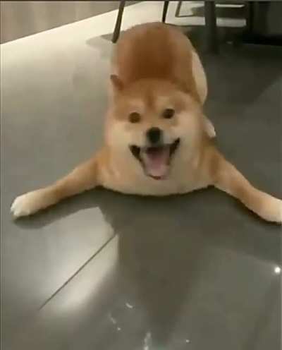 Such happy!
