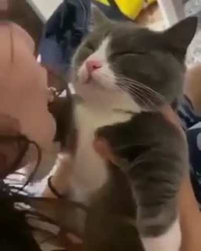 Footage of the pure Khajiit, Therris, rejecting the heretical harlot, Barenziah. Circa 2E 909. Colorized.