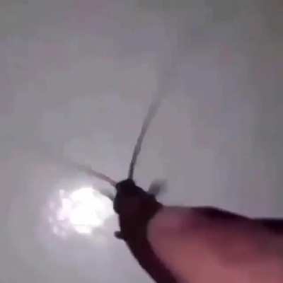 Amogus