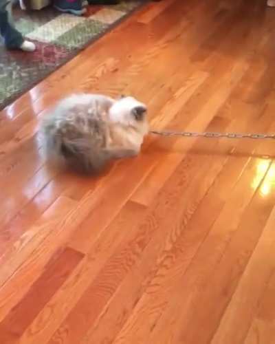 Haulin’ Chonk!