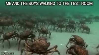 My first gif meme!