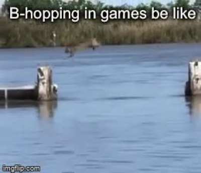 Animals are incredible though