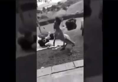 cursed_bruh