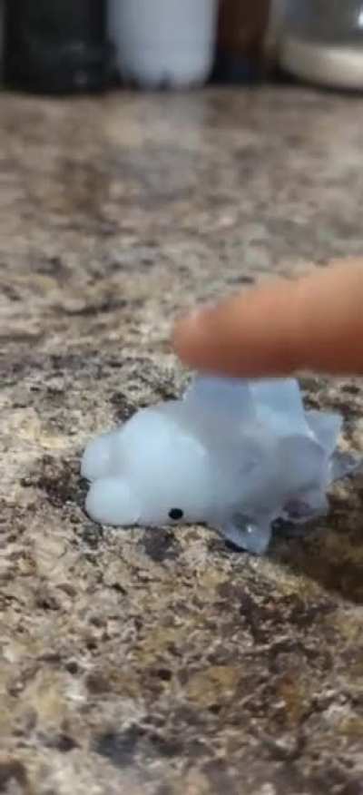 First try at making a squishy Snom. It tore a bit coming out of the mold but I still love him.
