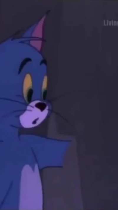 skkkrrrt