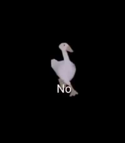 no