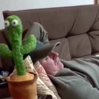 Quality sleep