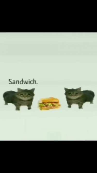 Send which