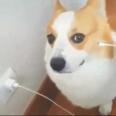 Buen día gente