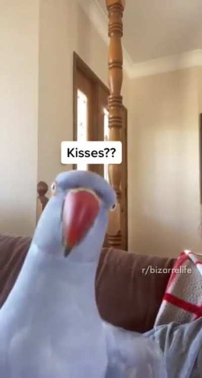 Changing the subject aggressively