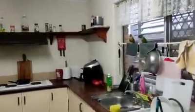 Instant Karma
