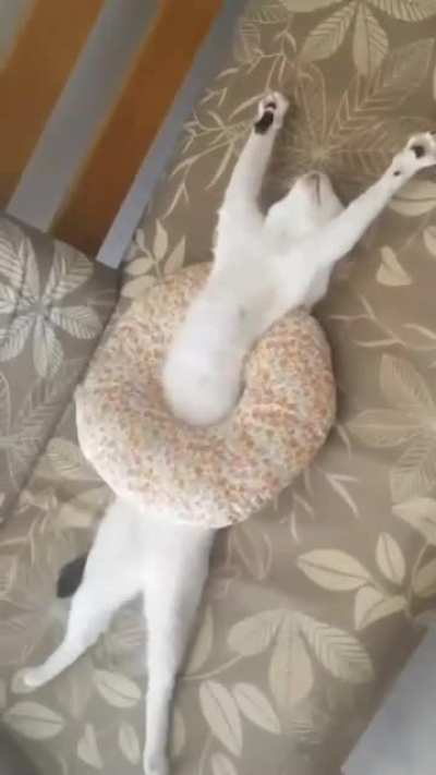 Who expects such a Saturday?